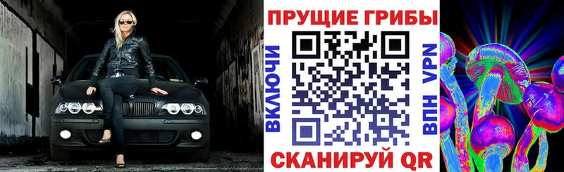 Галлюциногенные грибы Magic Shrooms  Купить где  Ермолино 
